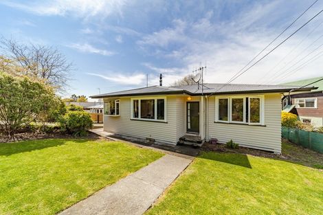 Photo of property in 113 Porangahau Road, Waipukurau, 4200