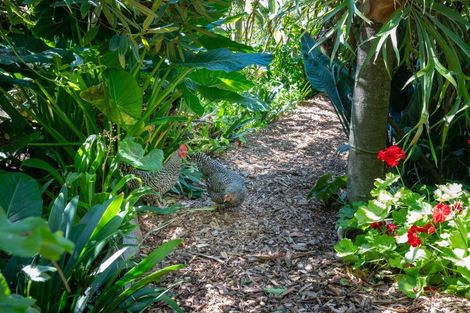 Photo of property in 3/41 Omarunui Road, Waiohiki, Napier, 4183