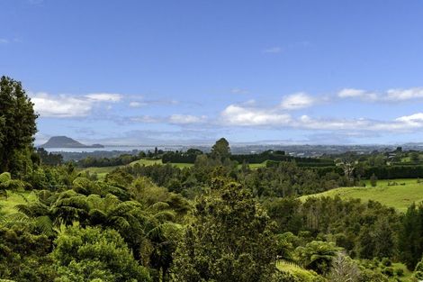 Photo of property in 557 Esdaile Road, Whakamarama, Tauranga, 3180