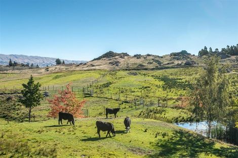 Photo of property in 196 Chapman Road, Earnscleugh, Alexandra, 9391