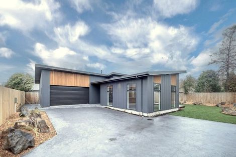 Photo of property in 26c Levens Lane, Temuka, 7920