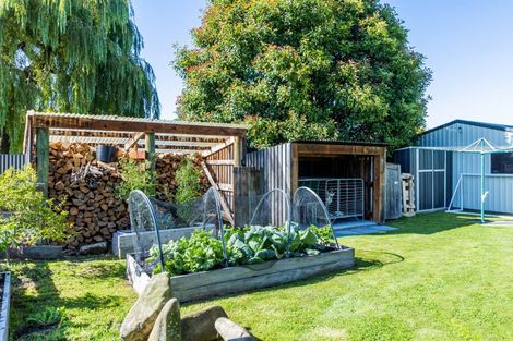 Photo of property in 55 Connolly Street, Geraldine, 7930