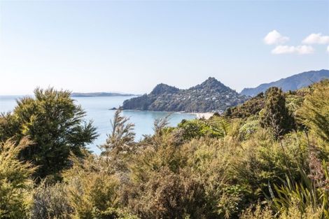 Photo of property in 160 Pumpkin Hill Road, Pumpkin Hill, Whitianga, 3591