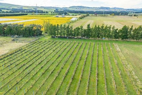 Photo of property in 246 Georges Road, Glasnevin, Amberley, 7482