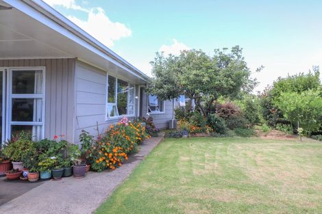 Photo of property in 405 Ensor Street, Thames, 3500