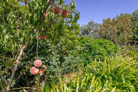 Photo of property in 105 Lindsay Road, Waipukurau, 4283