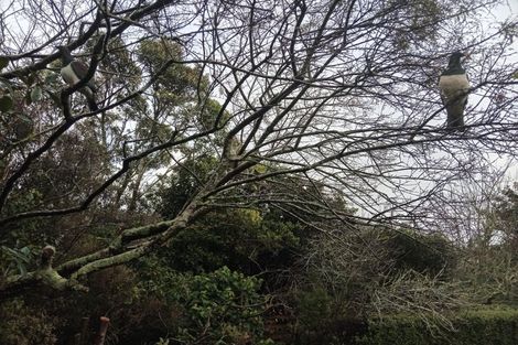 Photo of property in 126 Awai Road, Tarurutangi, New Plymouth, 4372