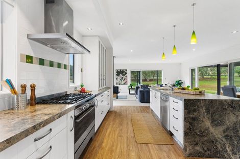 Photo of property in 255 Austin Road, Dairy Flat, Albany, 0794