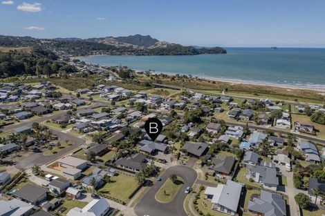Photo of property in 29 Wells Place, Whitianga, 3510