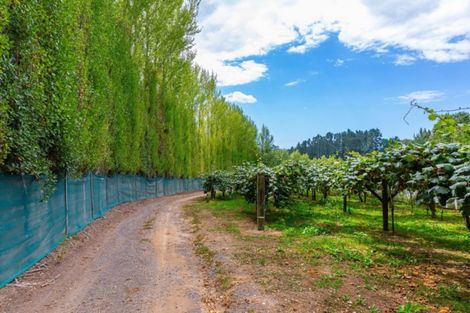 Photo of property in 866 No 2 Road, Te Ranga, Te Puke, 3182