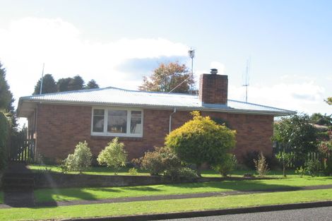 Photo of property in 14 Andrew Street, Tokoroa, 3420