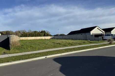 Photo of property in 70 Fairmaid Street, Lincoln, 7608