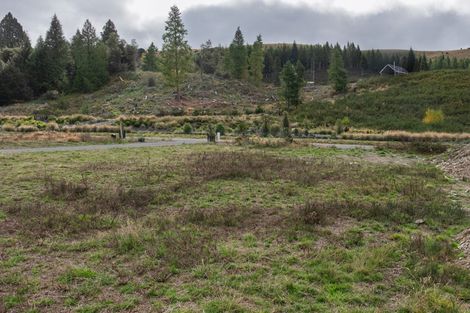 Photo of property in 21 Luge Loop, Castle Hill, 7580