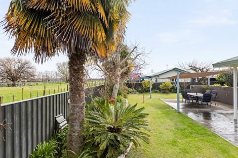 Photo of property in 514 Wall Road, Raureka, Hastings, 4120