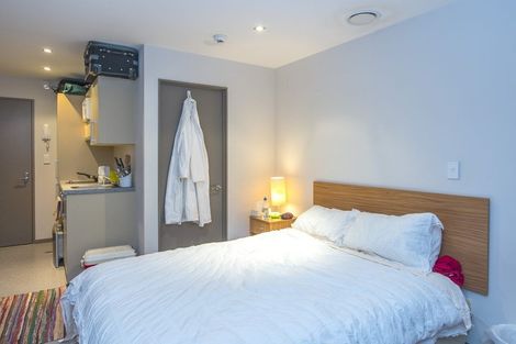 Photo of property in Dual Apartments, 108/142 Vivian Street, Te Aro, Wellington, 6011