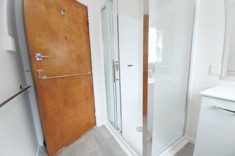 Photo of property in 117 Aro Street, Aro Valley, Wellington, 6021