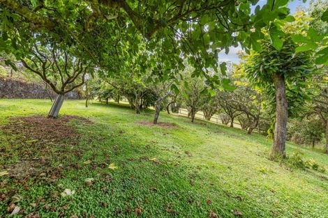 Photo of property in 111 Dip Road, Te Kamo, Whangarei, 0176