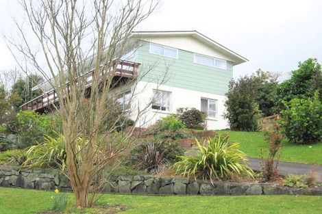 Photo of property in 113 Brunton Crescent, Thames, 3500