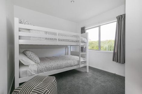 Photo of property in 3 Finch Street, Albert Town, Wanaka, 9305