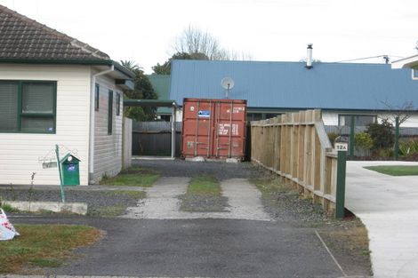 Photo of property in 12 Oxford Street, Fairfield, Hamilton, 3214