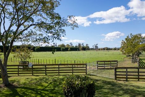 Photo of property in 14 Stock Road, Bridge Pa, Hastings, 4175