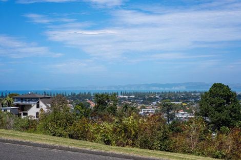 Photo of property in 52 Simla Terrace, Hospital Hill, Napier, 4110