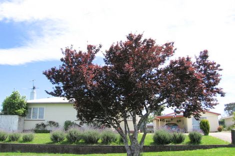 Photo of property in 2 Buchanan Street, Mangapapa, Gisborne, 4010