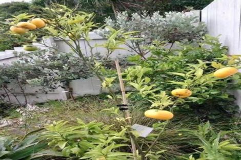 Photo of property in 13 Shirley Road, Grey Lynn, Auckland, 1021