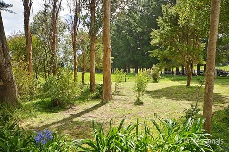Photo of property in 417 Whakatomotomo Road, Pirinoa, Featherston, 5772