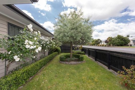 Photo of property in 45a Trafalgar Street, Dannevirke, 4930