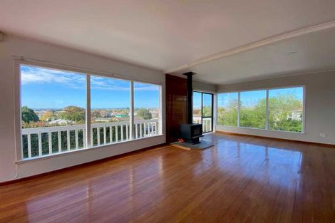 Photo of property in 54 Potter Avenue, Northcote, Auckland, 0627