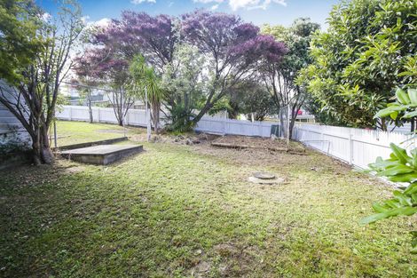 Photo of property in 64 Ellis Avenue, Mount Roskill, Auckland, 1041