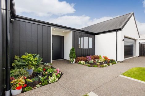 Photo of property in 38 Ashford Avenue, Hokowhitu, Palmerston North, 4410