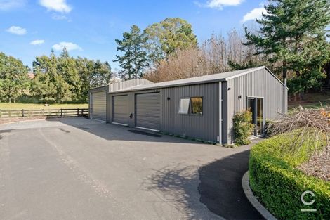 Photo of property in 257c Crawford Road, Minden, Tauranga, 3171