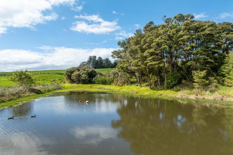 Photo of property in 220 Springfield Road, Springfield, Whangarei, 0178