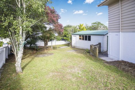 Photo of property in 64 Ellis Avenue, Mount Roskill, Auckland, 1041