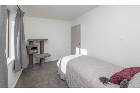 Photo of property in 24c Tika Street, Riccarton, Christchurch, 8041