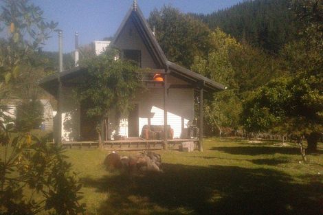 Photo of property in 116 Tauwharenikau Road, Tututawa, Stratford, 4392