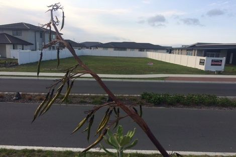 Photo of property in 41 Stace Hopper Drive, One Tree Point, 0118