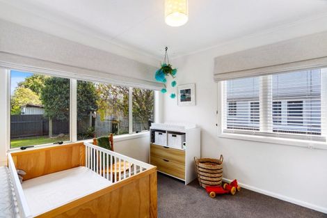 Photo of property in 211 Lumsden Road, Akina, Hastings, 4122