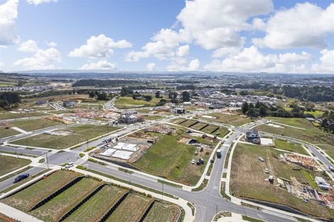 Photo of property in 68 Michael Bosher Way, Flat Bush, Auckland, 2019