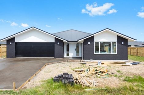 Photo of property in 7 Harvard Road, Burleigh, Blenheim, 7201
