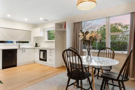 Photo of property in 1/6 Brougham Street, Addington, Christchurch, 8024