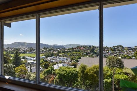 Photo of property in 87 Shetland Street, Wakari, Dunedin, 9010