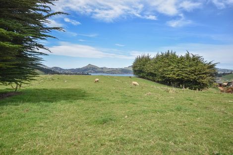 Photo of property in 62 Fairview Terrace, Sawyers Bay, Port Chalmers, 9023