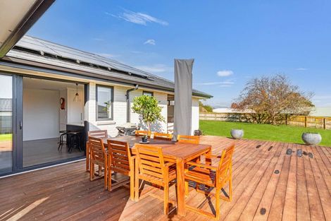 Photo of property in 201b Tiro Tiro Road, Levin, 5510