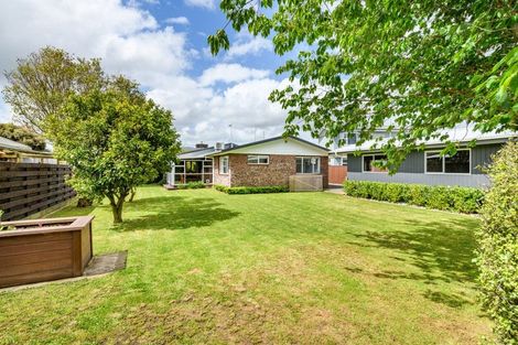 Photo of property in 115 Winchester Street, Ashhurst, 4810