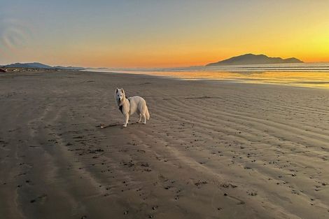 Photo of property in 31 Rodney Avenue, Te Horo Beach, Otaki, 5581