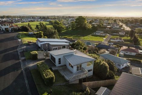 Photo of property in 15 Ohinemuri Place, Paeroa, 3600
