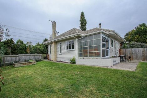 Photo of property in 17 Sillary Street, Hamilton East, Hamilton, 3216